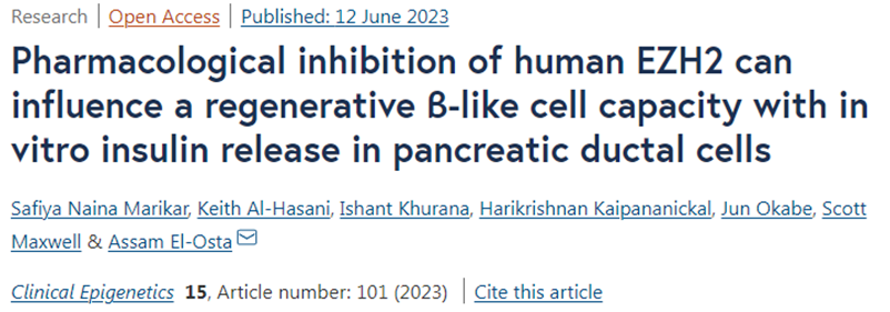 Clin Epigenetics：利用药物抑制人类EZH2可在体外促进胰腺导管祖细胞变成分泌胰岛素的β细胞样细胞