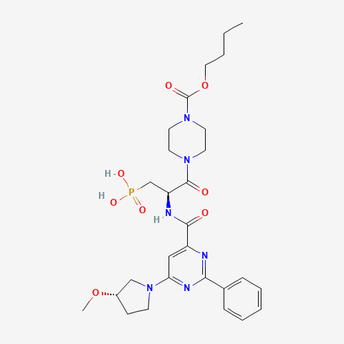 定了！3.5亿美元囊获两款3期小分子疗法！新锐达成合作