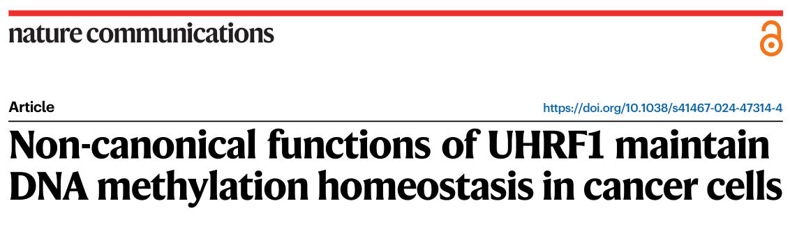 Nature Communications：UHRF1在癌细胞中维持DNA甲基化稳态发挥重要作用