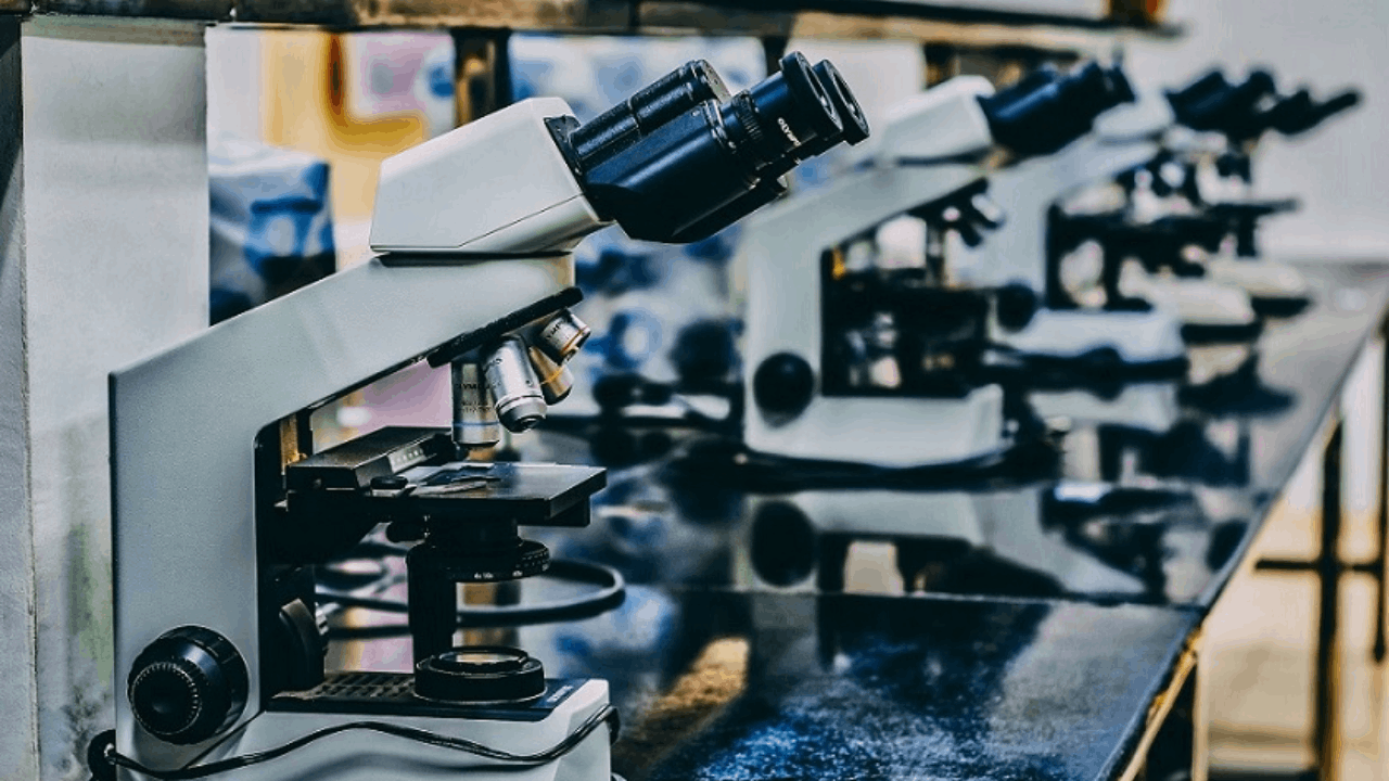 BlossomHill Therapeutics Announces First Patient Dosed in Expansion Cohorts of the Phase 1/2 SOLARA Trial, Evaluating BH-30643 in Advanced EGFR-mutant Non-Small Cell Lung Cancer