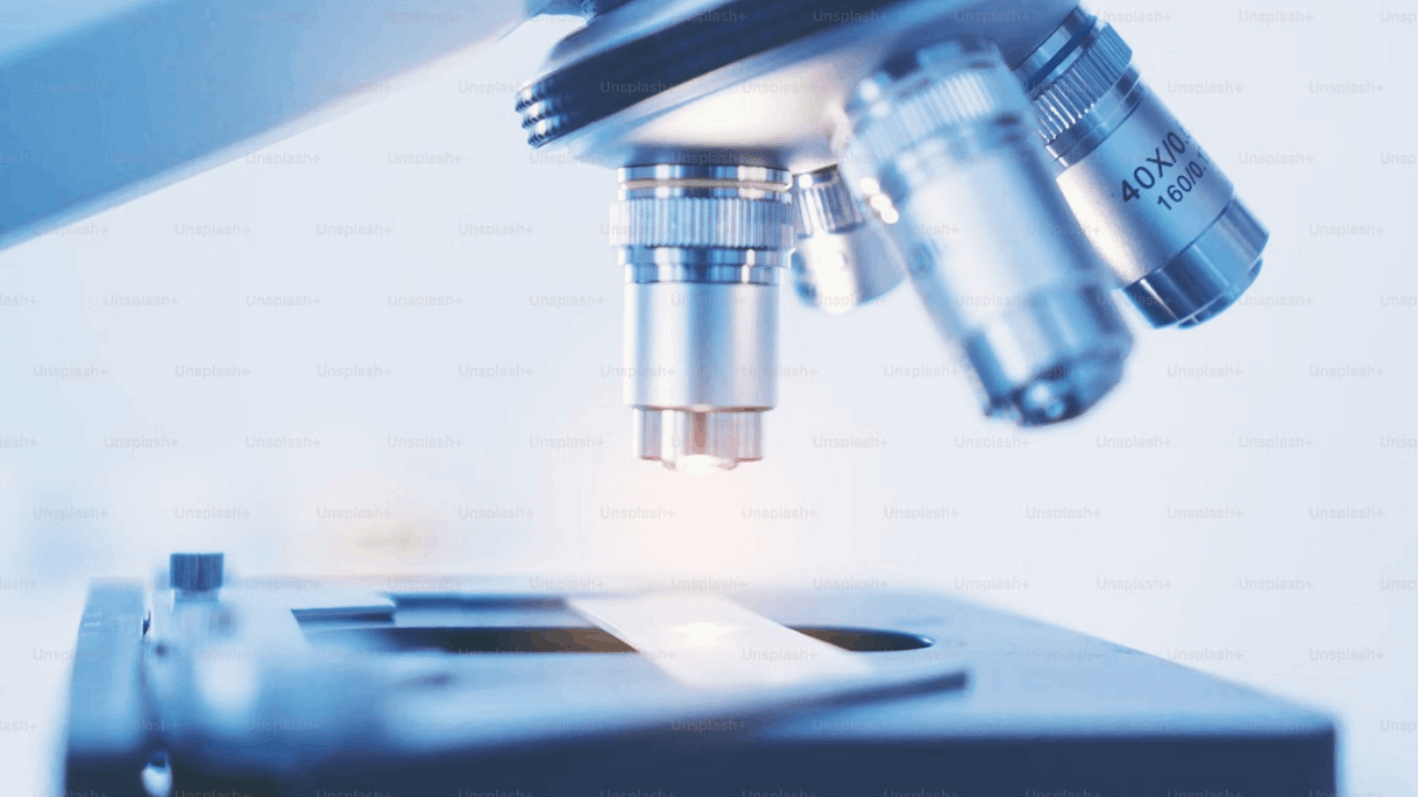 Palvella Therapeutics Announces Expansion of QTORIN™ Rapamycin’s Development into Clinically Significant Angiokeratomas, a Rare, Chronically Debilitating Lymphatic Disease with No FDA-approved Therapies