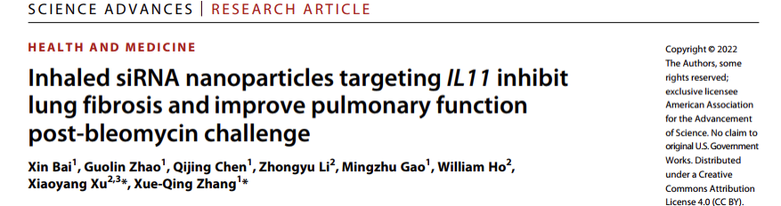 章雪晴团队开发新型吸入式核酸纳米递送系统治疗肺纤维化
