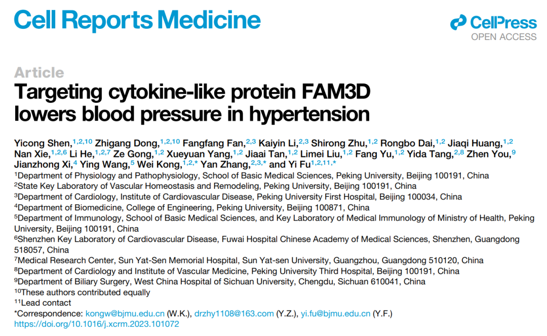 Cell子刊：北京大学付毅/张岩/孔炜团队发现高血压治疗新靶点