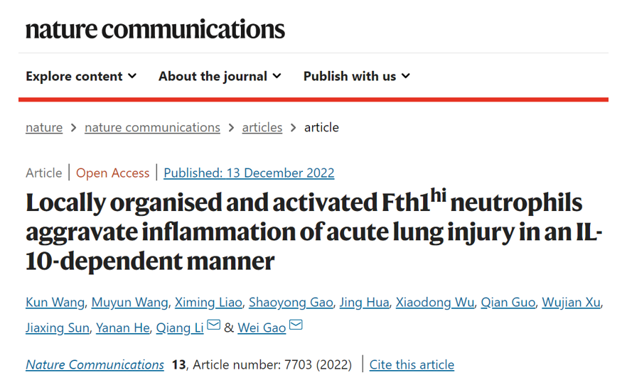 Nature子刊/同济大学李强课题组揭示急性肺损伤中性粒细胞的表型转化及其潜在调控机制