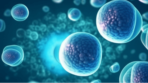 CytomX Therapeutics Announces Clinical Collaboration with Merck to Evaluate CX-801 in Combination with KEYTRUDA® (pembrolizumab)