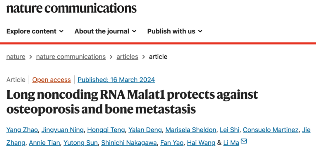 Nature子刊：马莉团队揭示这一lncRNA可预防骨质疏松和肿瘤骨转移