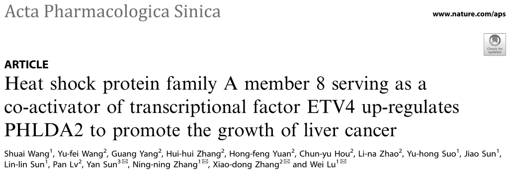 天津医科大学肿瘤研究所研究者揭示HSPA8作为ETV4的辅助激活剂是治疗肝癌的潜在靶点