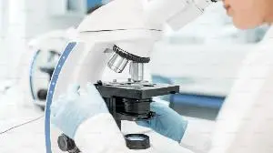 Alkeus Pharmaceuticals Announces Presentation of Positive Interim TEASE-3 Study Data in Early-Stage Stargardt Disease Patients Treated with Oral Gildeuretinol