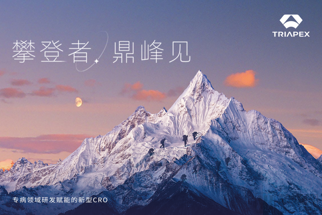 【首发】专病领域研发赋能新型CRO鼎泰集团宣布完成数亿元C轮融资