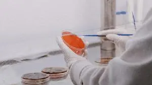 Cidara Therapeutics Announces Positive Topline Results from its Phase 2b NAVIGATE Trial Evaluating CD388, a Non-Vaccine Preventative of Seasonal Influenza