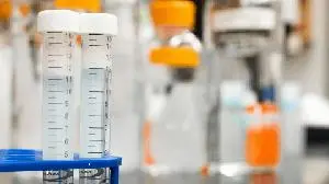 Arvinas to Present Preclinical Data for PROTAC BCL6 Degrader, ARV-393, at 2025 American Association for Cancer Research® (AACR) Annual Meeting