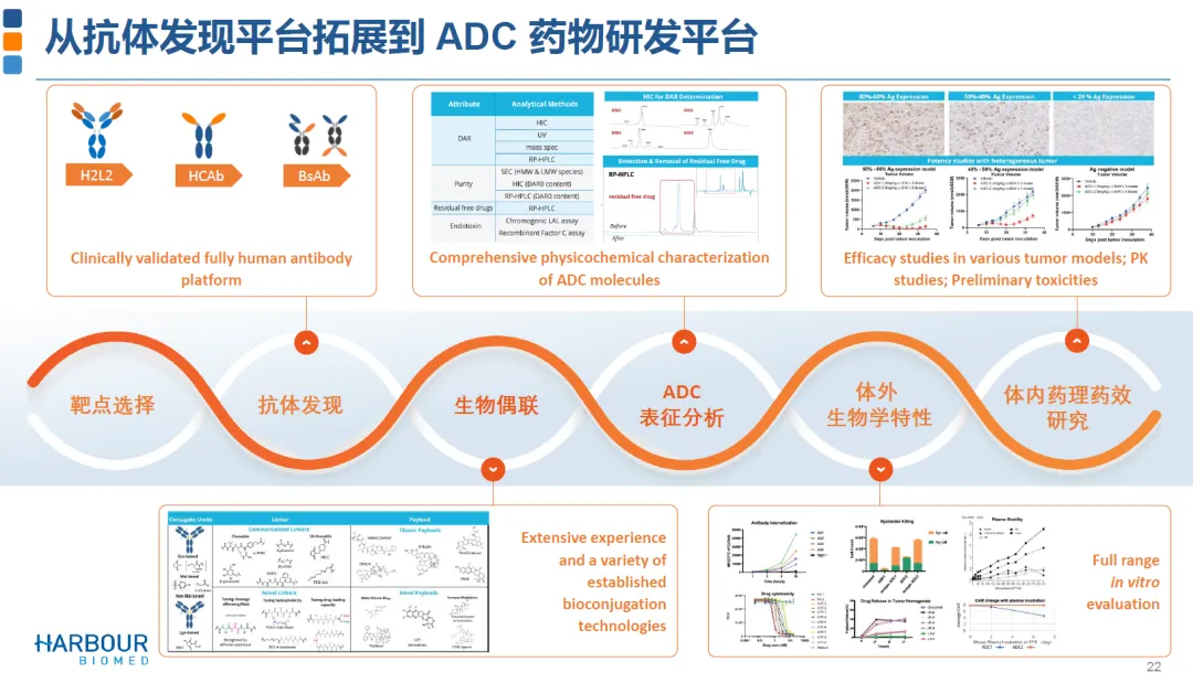 6亿美元：诺纳生物临床前抗肿瘤单抗授权给阿斯利康