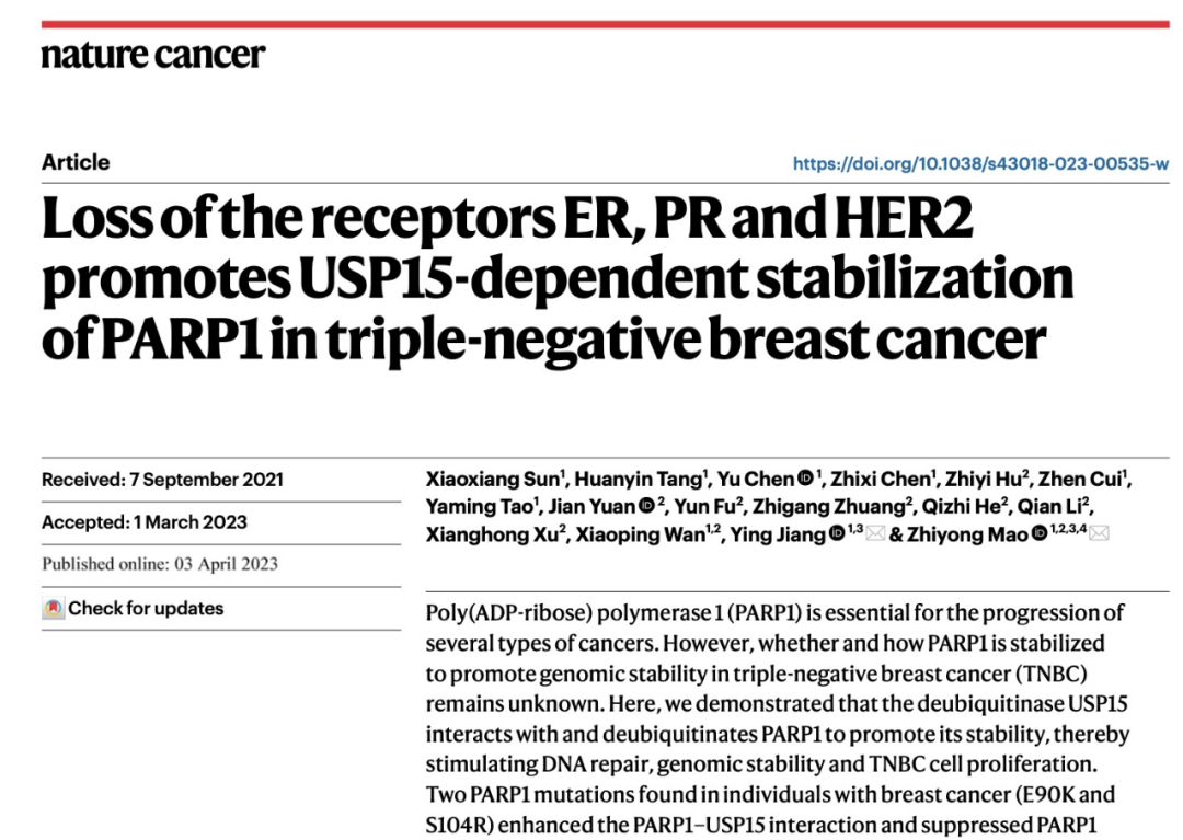 《自然·癌症》：三阴性乳腺癌果真阴险！同济大学毛志勇团队发现，ER/PR/HER2三阴可促进癌细胞基因修复能力