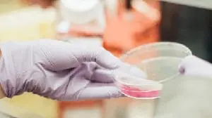 ENA Respiratory Receives US$5m Investment from Flu Lab to Support Clinical Development of Novel Intranasal Antiviral Host Defence Immune Enhancer, INNA-051