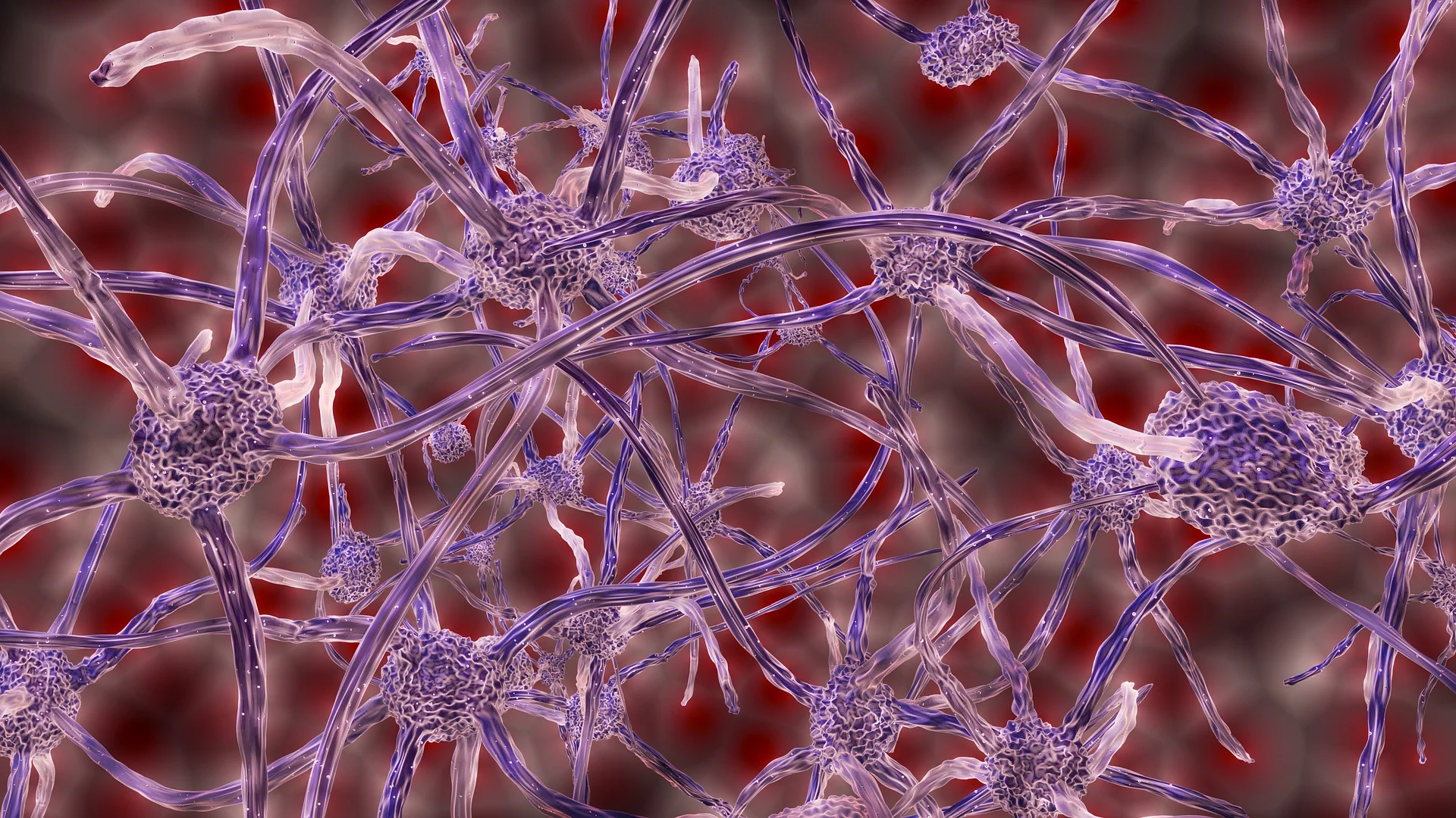FDA clears Intelligent Ultrasound's AI for real-time guidance in nerve block injections