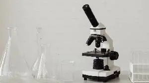 GRI Bio Continues to Drive Enrollment in Ongoing Phase 2a Study of GRI-0621 in Idiopathic Pulmonary Fibrosis (“IPF”)