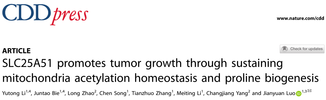 北京大学健康科学中心的研究者们指出SLC25A51是一个有吸引力的抗癌靶点