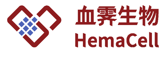 血小板细胞治疗公司血霁生物完成A1轮首关，中博聚力领投