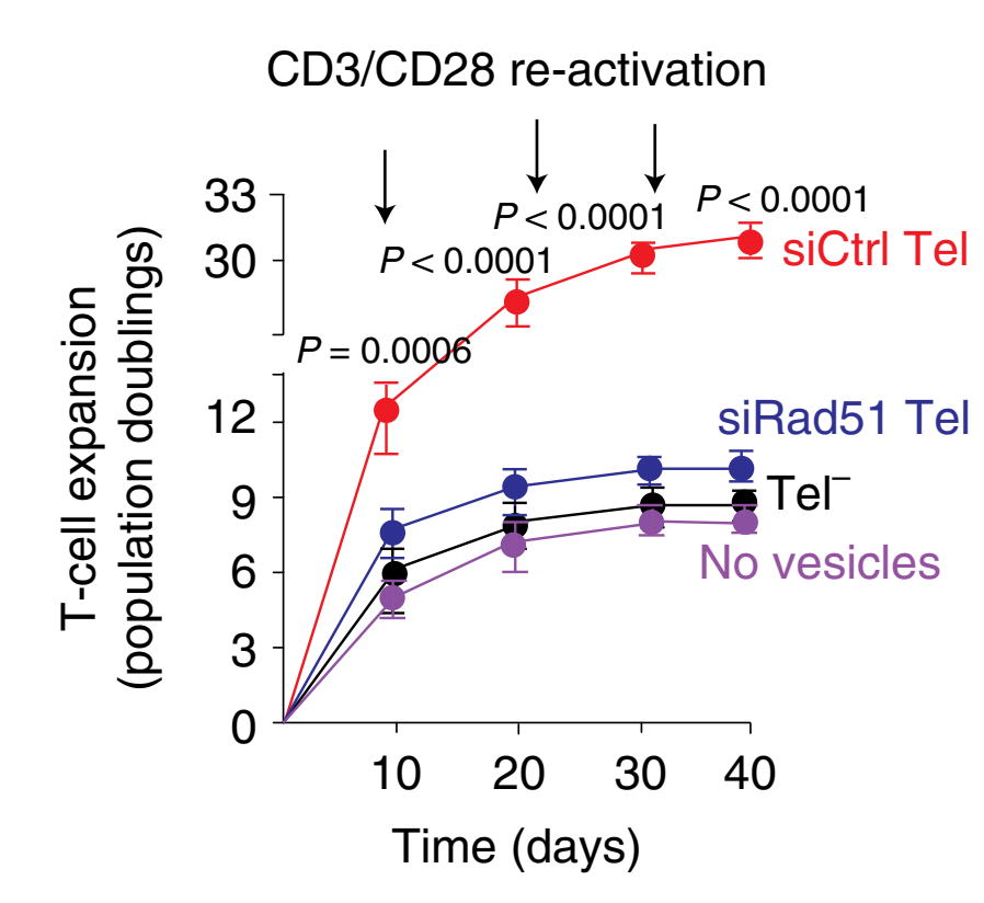 IL-1β：肿瘤治疗双向作用