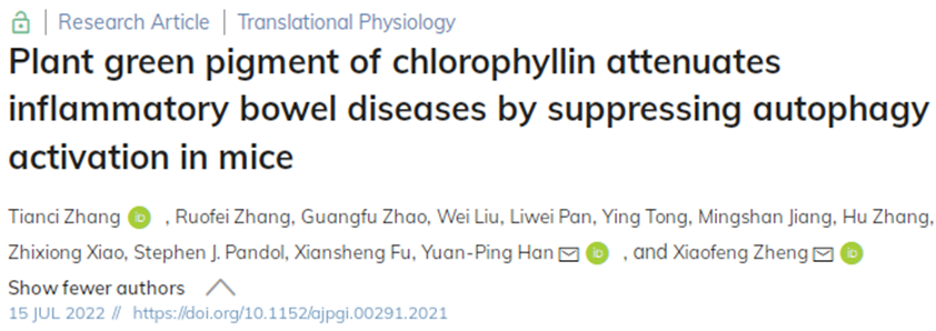 AJP子刊：川大科学家发现摄入膳食补充剂叶绿素可缓解炎症性肠病