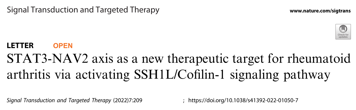 STTT【澳门科技大学】STAT3-NAV2轴或成为类风湿关节炎治疗的新靶点