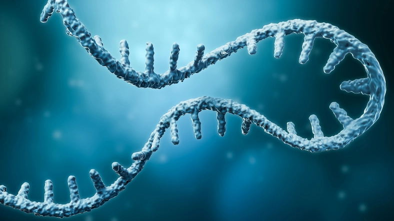 Amgen joins Kernal Bio’s $25M financing as the startup brings mRNA 2.0 to cancer