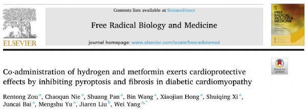 FRBM: 氢气和二甲双胍联合应用通过抑制糖尿病心肌病的焦亡和纤维化保护心脏功能