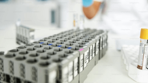 Immutep Reports Progress from Phase I Study of LAG-3 Agonist for Autoimmune Diseases