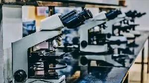 NKGen Biotech Announces International and U.S. Expansion of Phase 1/2a Troculeucel Alzheimer’s Trial with Activation of Clinical Sites in Canada and Florida