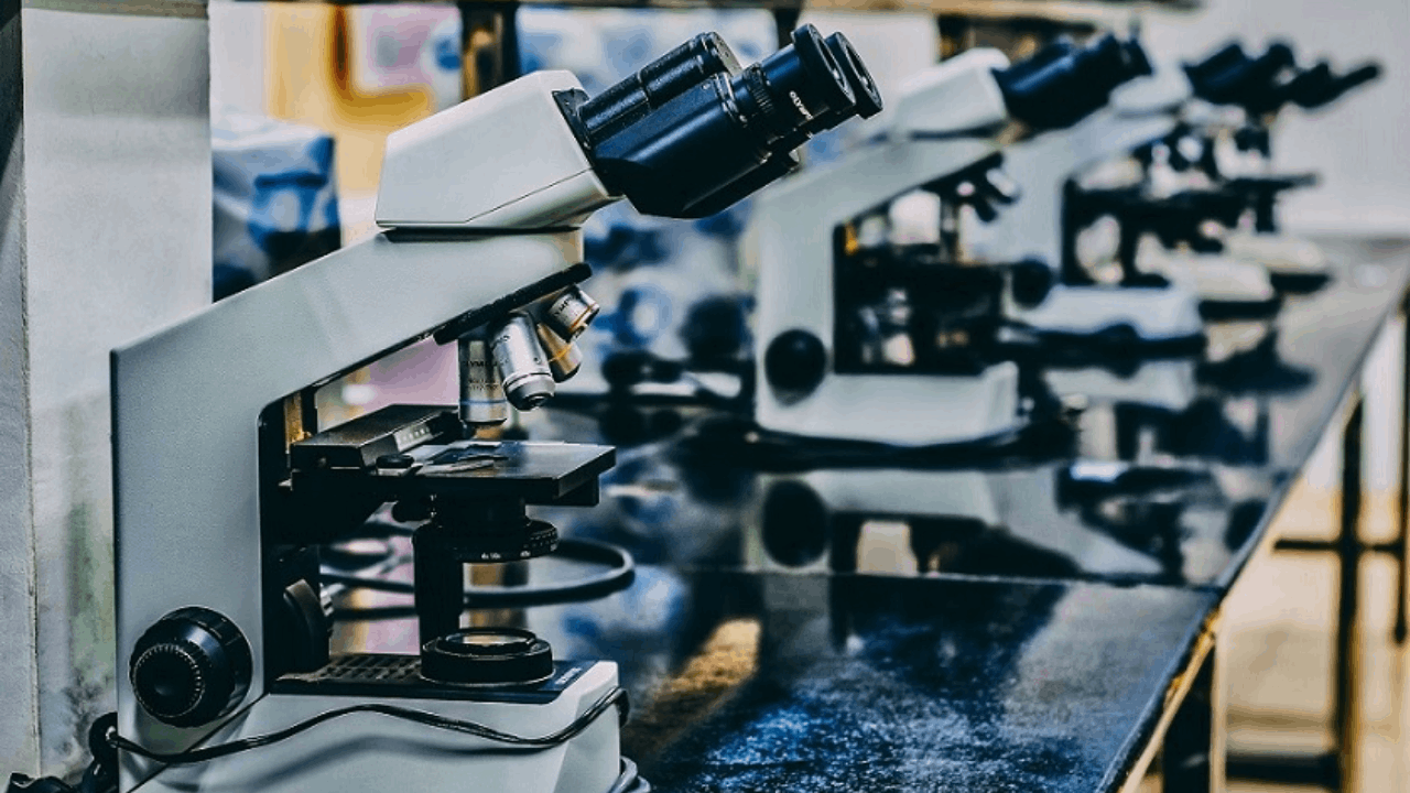 REGENXBIO Announces Positive Topline Results from Pivotal Phase III AFFINITY DUCHENNE® Study of RGX-202