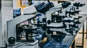 REGENXBIO Announces Positive Topline Results from Pivotal Phase III AFFINITY DUCHENNE® Study of RGX-202