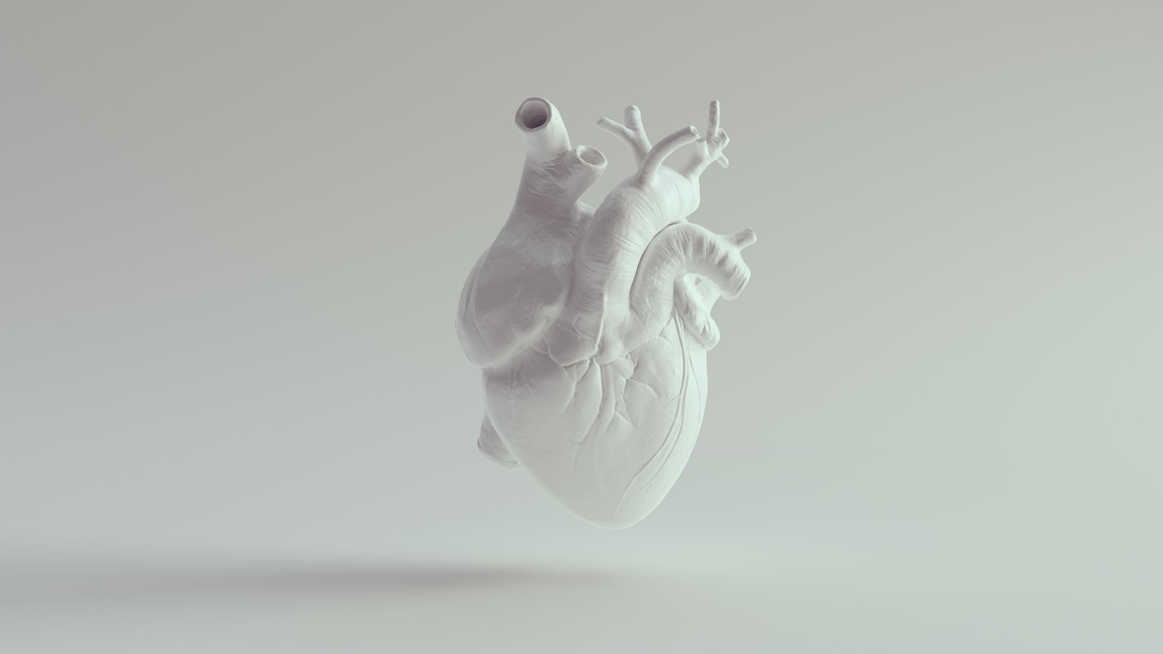 Heartflow\'s updated coronary plaque analysis AI nets FDA clearance, more payer coverage