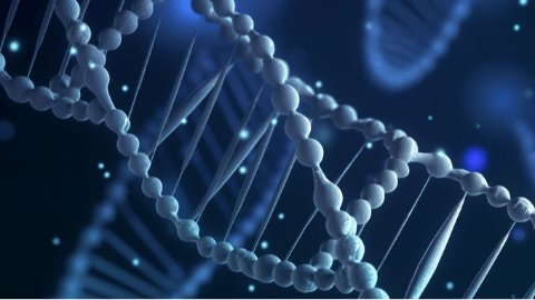 4DMT Receives EMA Priority Medicines (PRIME) Designation for 4D-150 Clinical-Stage Genetic Medicine for Treatment of Wet AMD