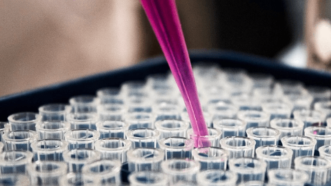 Silo Pharma Announces Completion of Dosing in Safety Study of PTSD Drug SPC-15