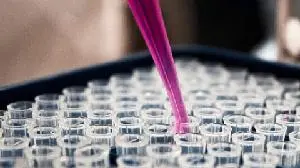 Silo Pharma Announces Completion of Dosing in Safety Study of PTSD Drug SPC-15
