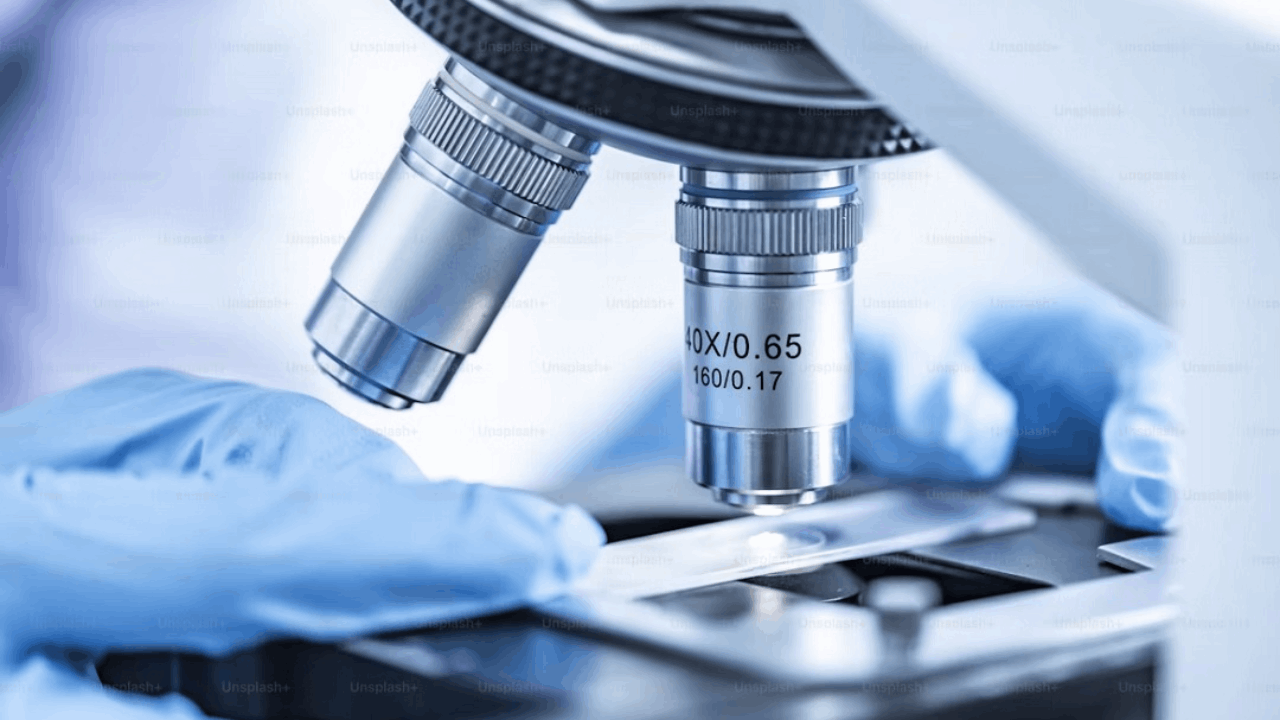Replimune Highlights Acral Melanoma Data for RP1 plus Nivolumab at the ESMO Congress 2025