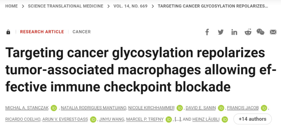 《科学·转化医学》：癌细胞“断糖”，免疫治疗更强！
