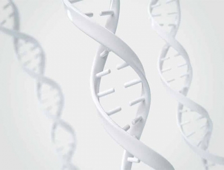 Duke Street Bio Gets EMA Approval to Launch PARP1-Selective Inhibitor Trial