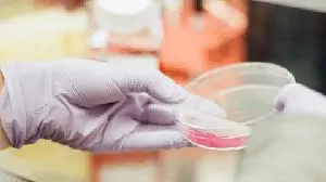 Antengene Publishes Preclinical Research Paper on CD73 Small Molecule Inhibitor ATG-037 Combined with Selinexor in Cancer Gene Therapy