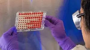 Kura Oncology Reports Darlifarnib Plus Cabozantinib Demonstrates Robust Activity in Patients With Clear Cell Renal Cell Carcinoma Previously Treated With Cabozantinib