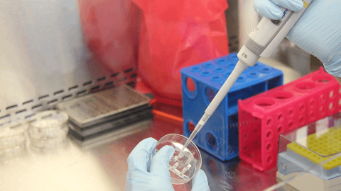 Amneal Highlights Positive Topline Results from Confirmatory Clinical Study of Biosimilar Candidate to XOLAIR(R) (omalizumab), Developed by Kashiv BioSciences