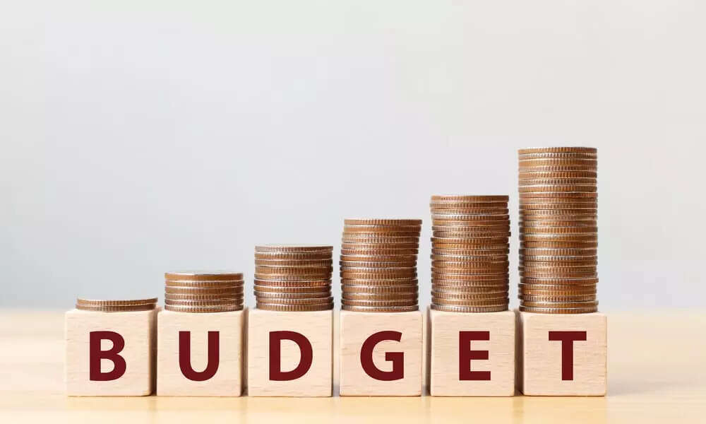 What are Indian API manufacturers eying in Budget 2025?