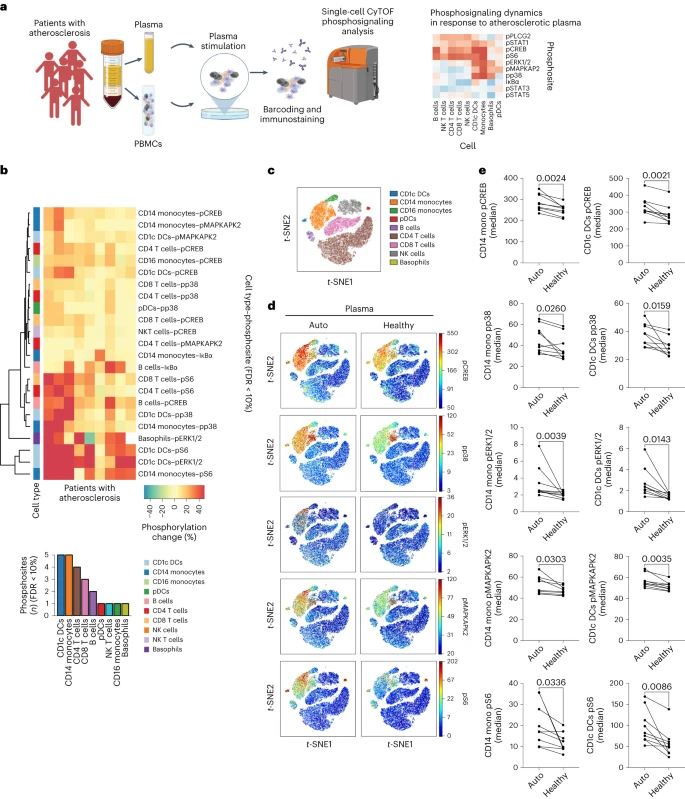 Nat Cardiovasc Res：实验性癌症药物塞卡替尼或能减缓与心脏病相关的机体炎症