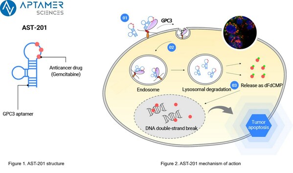 Aptamer Sciences Inc.提交创新肝癌治疗药物AST-201的IND申请