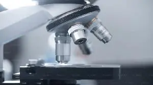 Cellectar Biosciences Receives Rare Pediatric Disease Designation from U.S. Food and Drug Administration for Iopofosine I 131 in Relapsed or Refractory Pediatric High-Grade Glioma