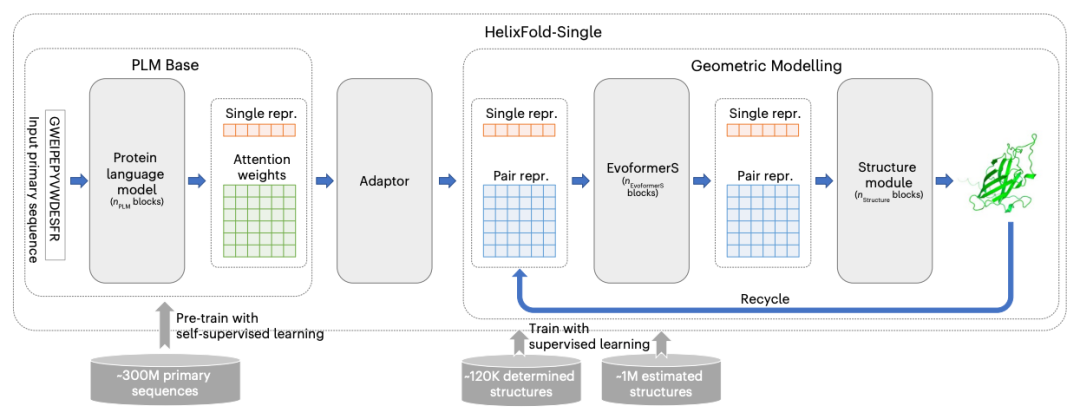 Nature子刊：百图生科宋乐团队开发新型蛋白质结构预测工具，不依赖多序列对比，效率更高