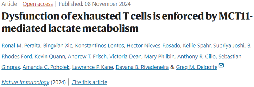 阻断乳酸，能重启抗癌T细胞？Nat Immunol揭秘一场免疫系统的逆袭