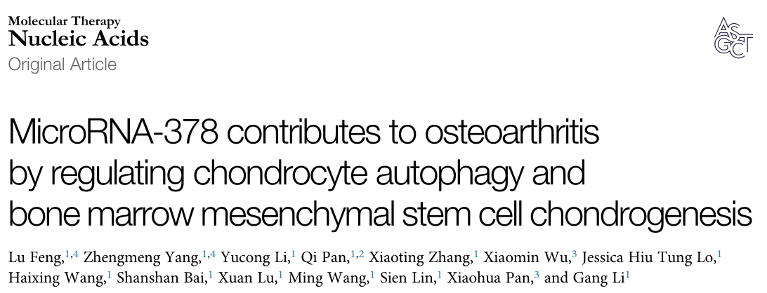 Molecular Therapy: Nucleic Acids miR-378可能是治疗骨性关节炎的潜在靶点