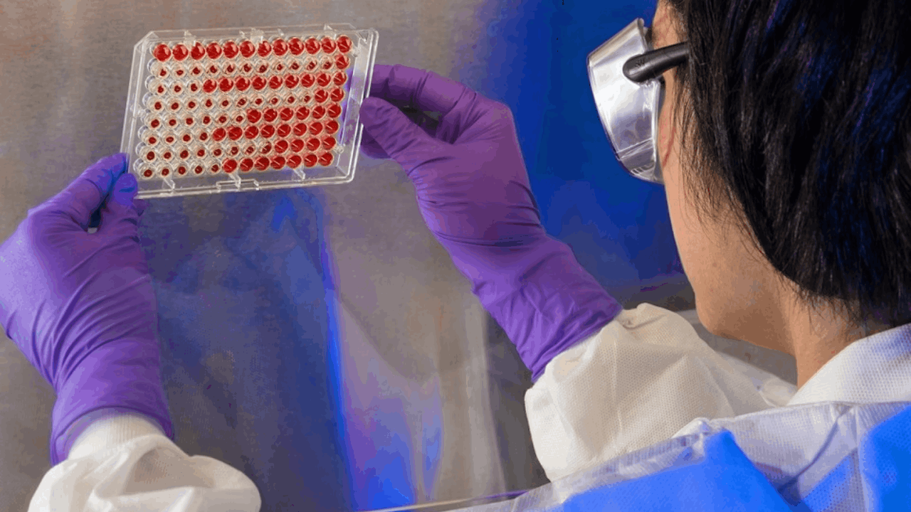 Atea Pharmaceuticals to Present New Data Supporting Combination of Bemnifosbuvir and Ruzasvir as Potential Best-in-Class Regimen for Treatment of Hepatitis C Virus Infection at The Liver Meeting® 2025