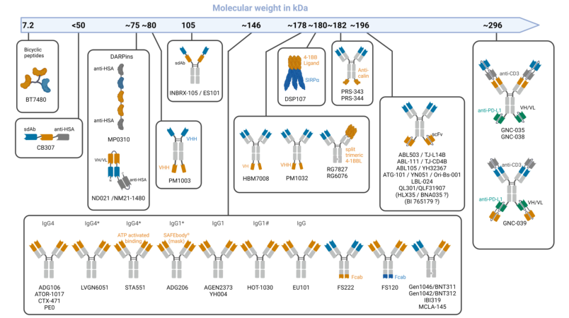 新一代4-1BB激动剂的开发 ：旨在更安全、有效